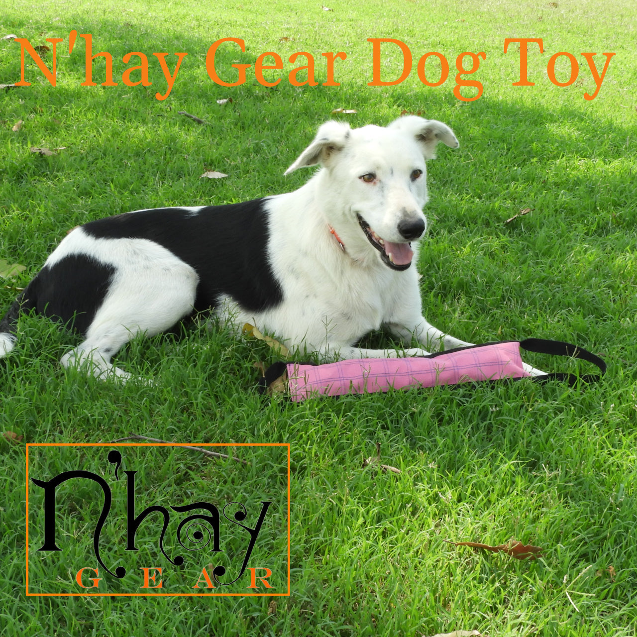 N Hay Gear Dog Toy Outdoor Waterproof