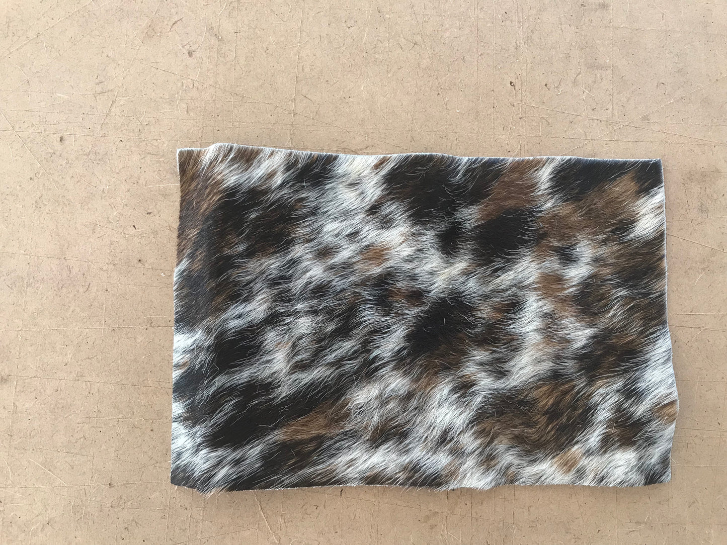 Coin Purse "Lucy"