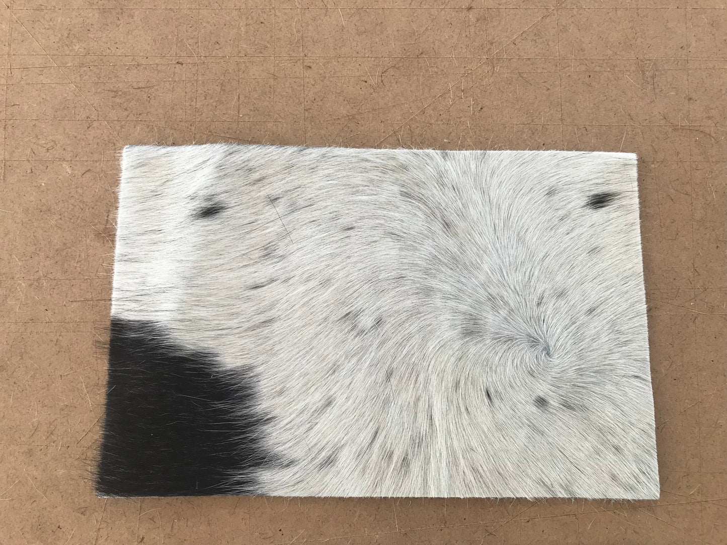 Coin Purse "Lucy"