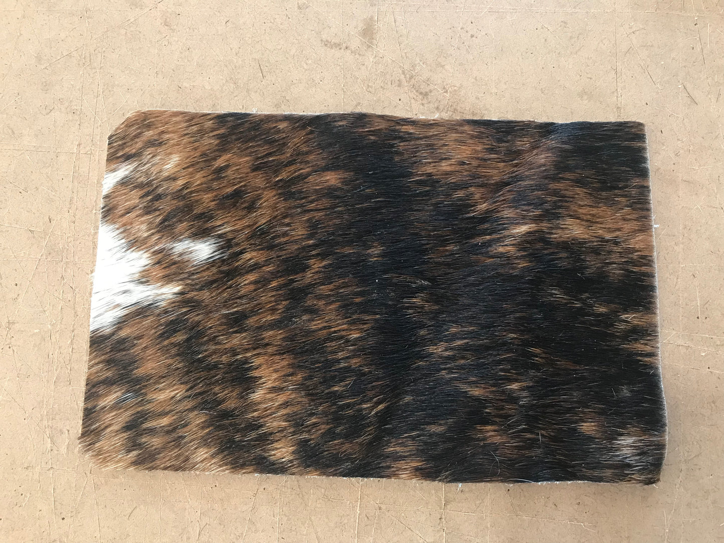 Coin Purse "Lucy"