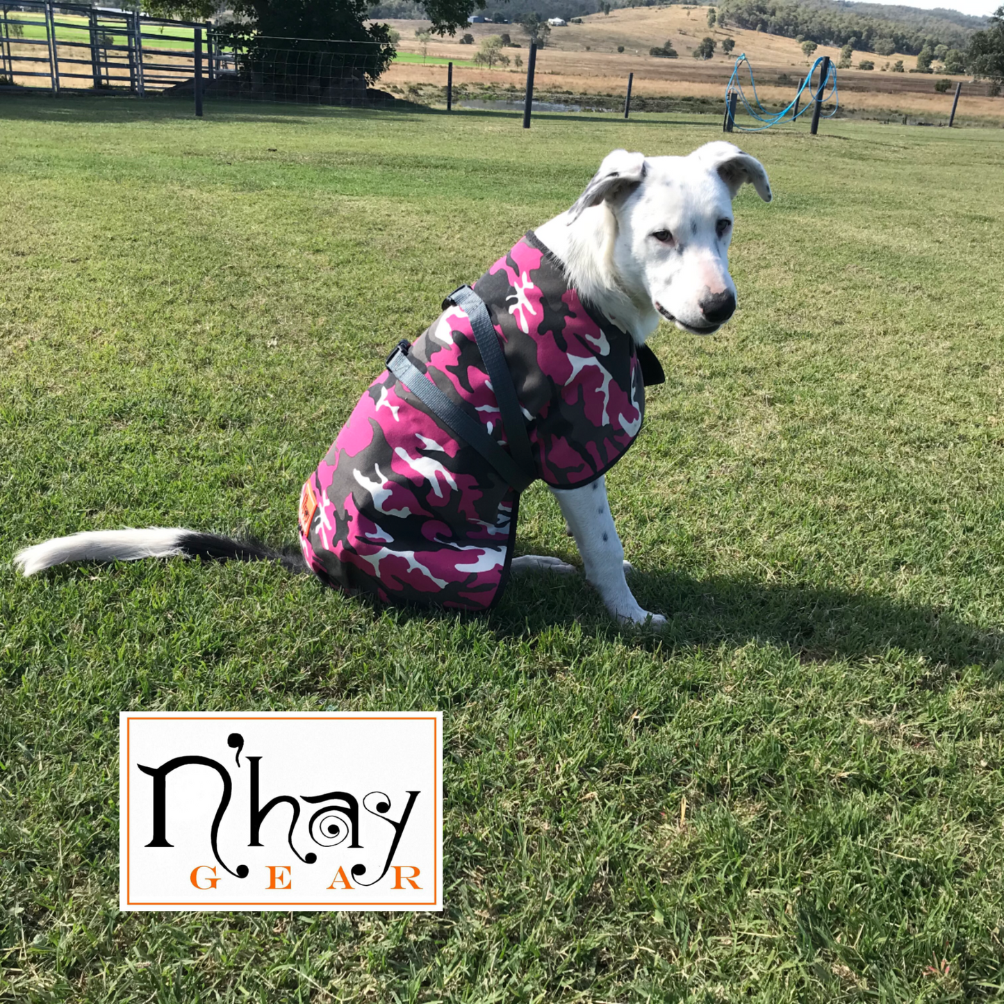 N’hay Gear - Pet Rug