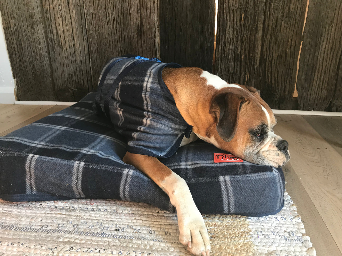 N’hay Gear - Pet Rug