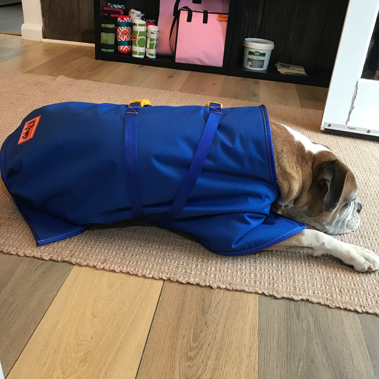 N’hay Gear - Pet Rug