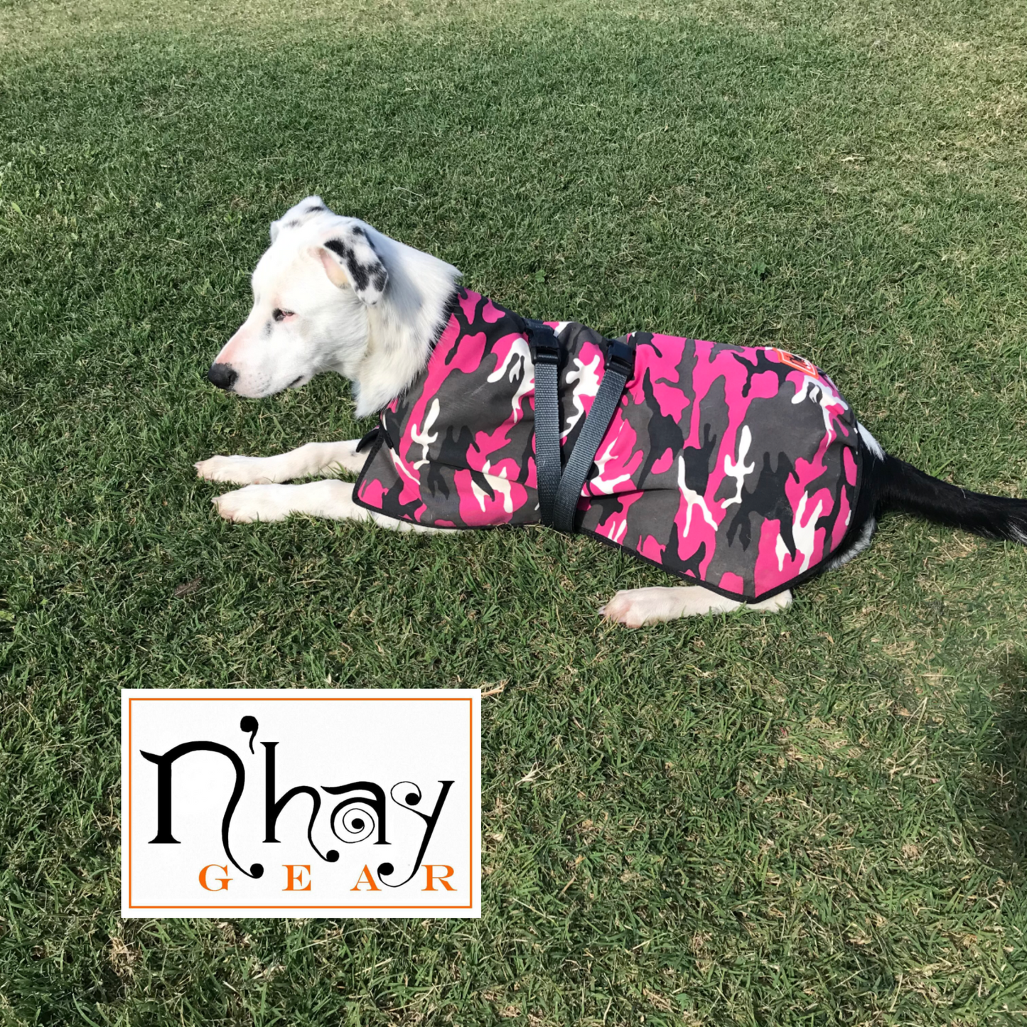 N’hay Gear - Pet Rug