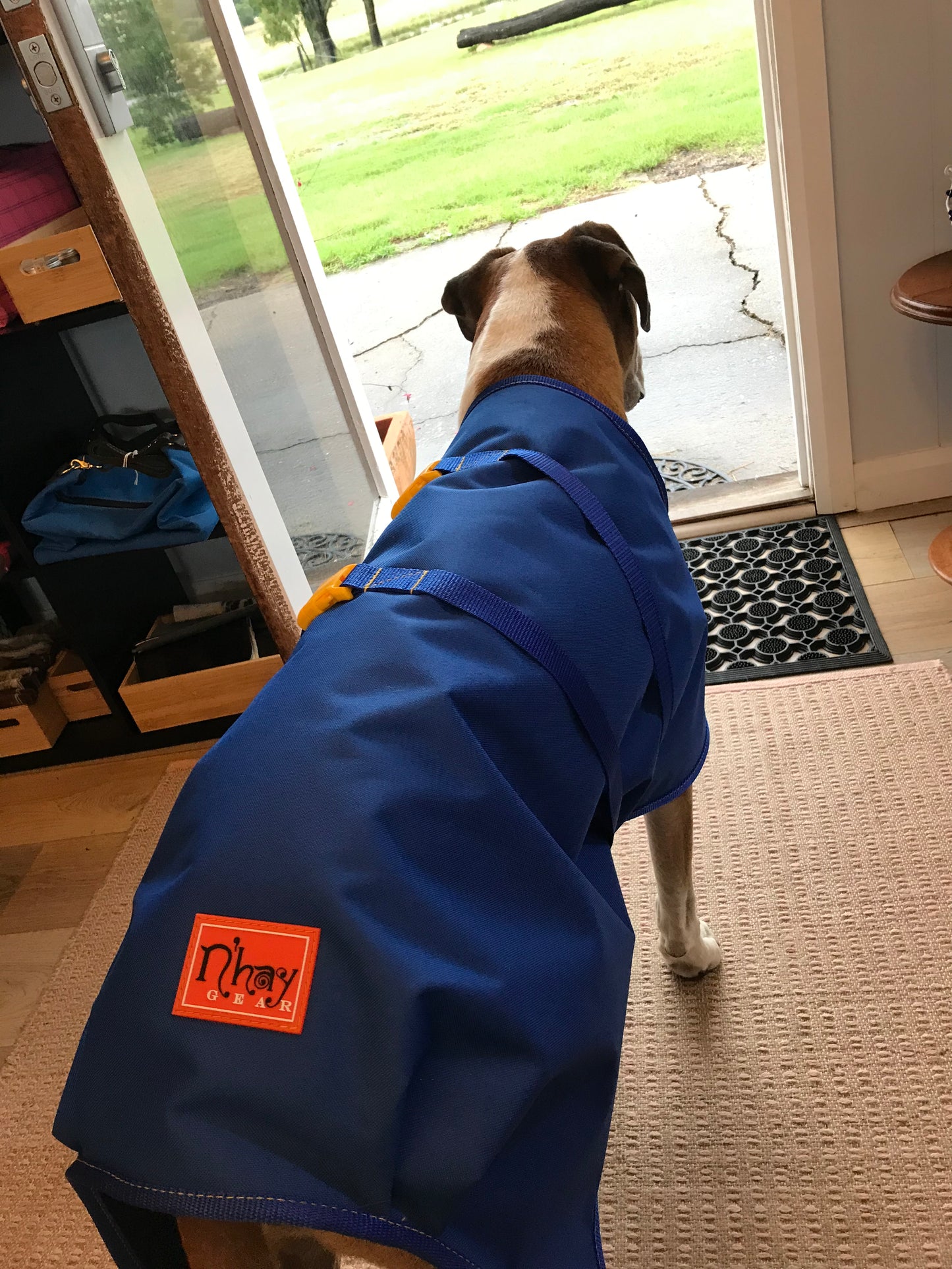 N’hay Gear - Pet Rug