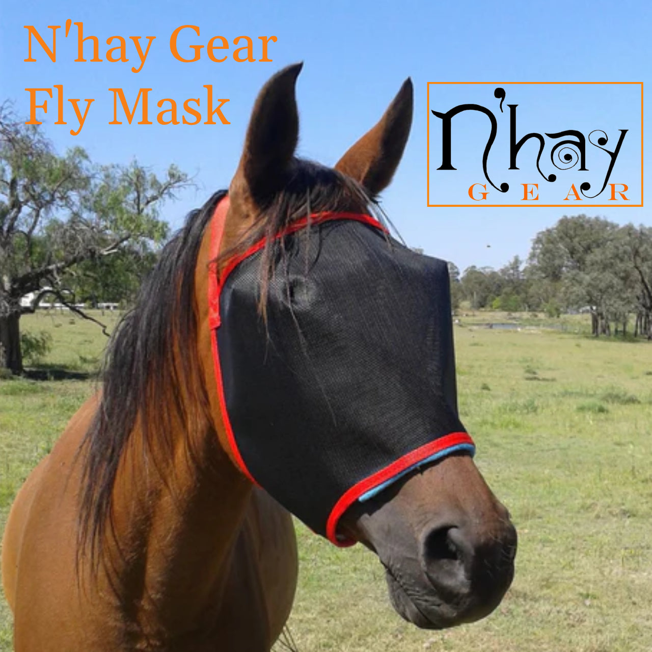Mask Hay N’hay Fly Mask – Loretta Matthews Industries