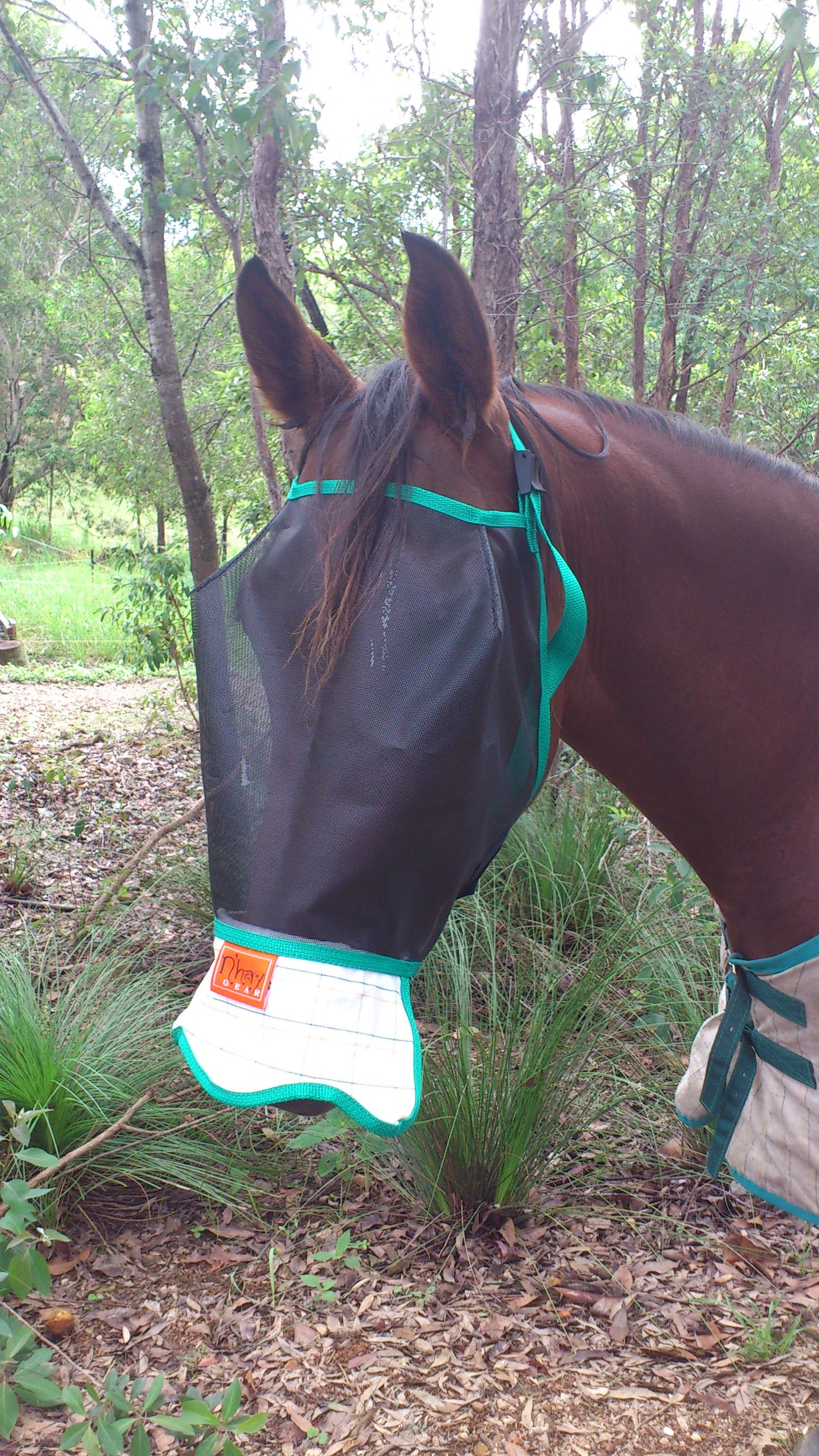 N’hay Fly Mask with Nose piece