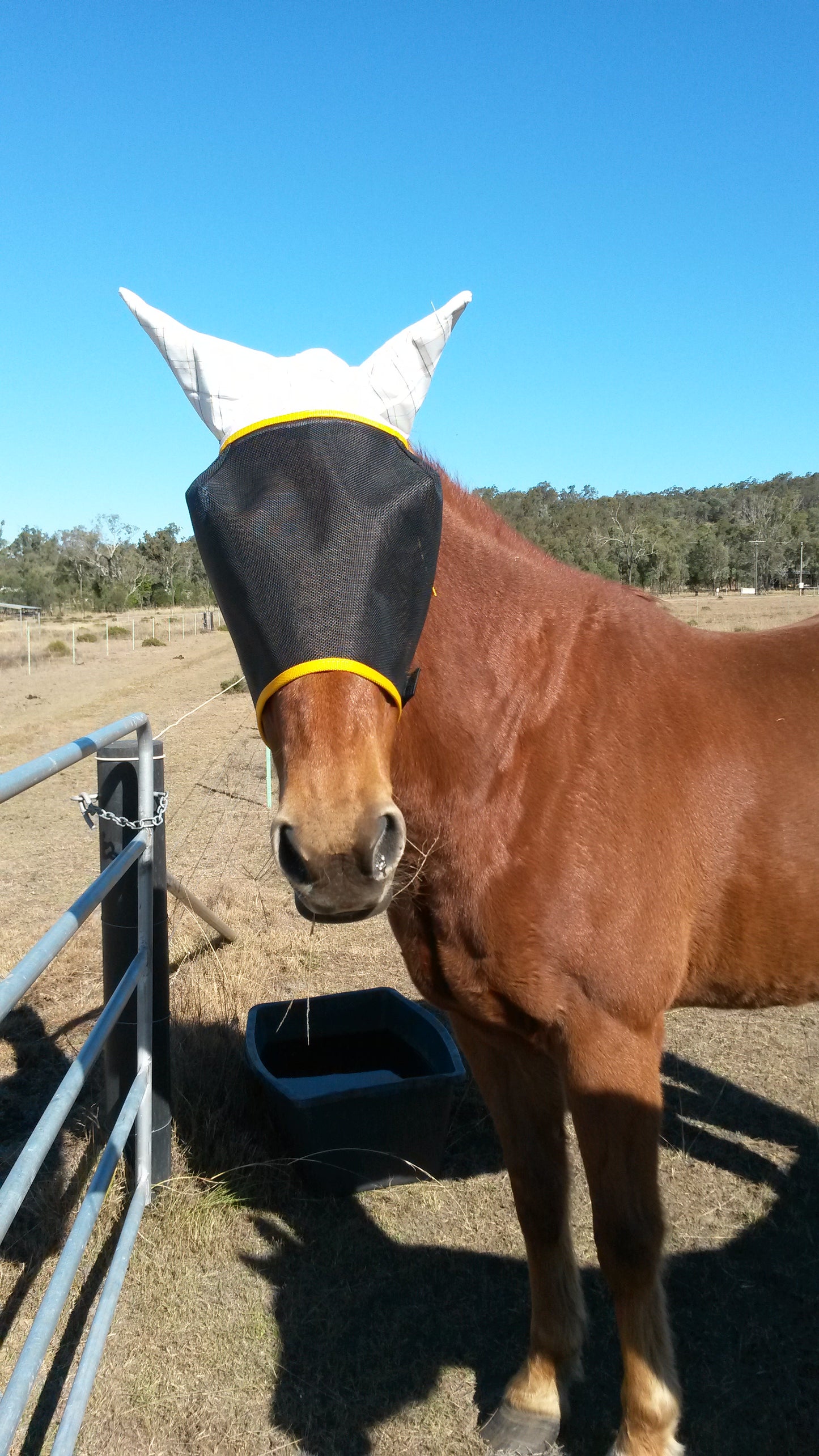 N’hay Fly Mask with Bonnet and Nose piece